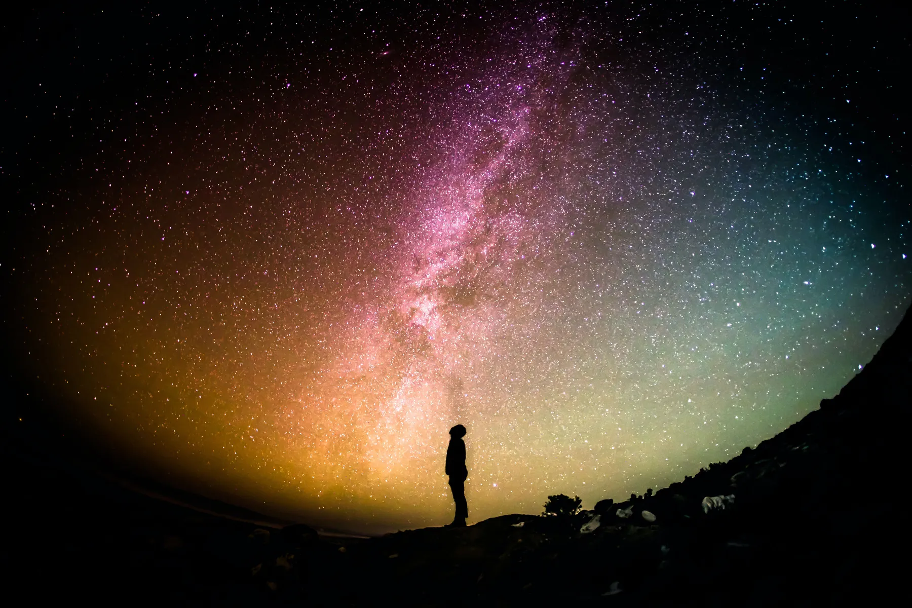 how to become a life coach