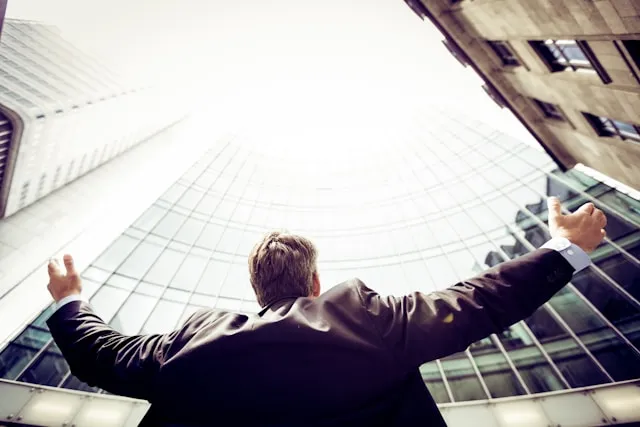 The Role of CEO Coaching
